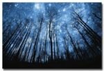 Poster Ciel Étoilé Firmament Éclatant