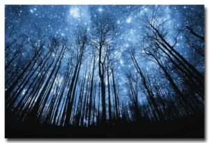 affiche ciel etoile admirez le firmament eclatant 20 x 30 cm 596 1