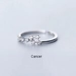 Bague De Constellation Signe Zodiacal