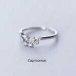 Bague De Constellation Signe Zodiacal