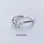 Bague De Constellation En Fonction De Votre Signe Zodiacal - Capricorne