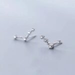 boucles doreilles constellation pour un cadeau astral unique poisson 807 1