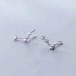 Boucles D’oreilles Constellation Pour Un Cadeau Astral Unique - Poisson