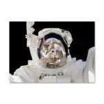 poster dun astronaute en selfie pour celebrer lexploration spatiale 30 x 40 cm 745 1