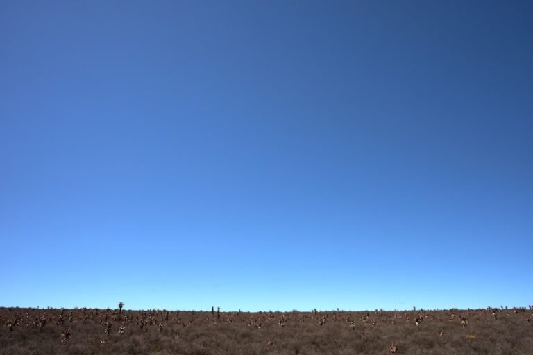 combien y'a t il de planètes dans le système solaire