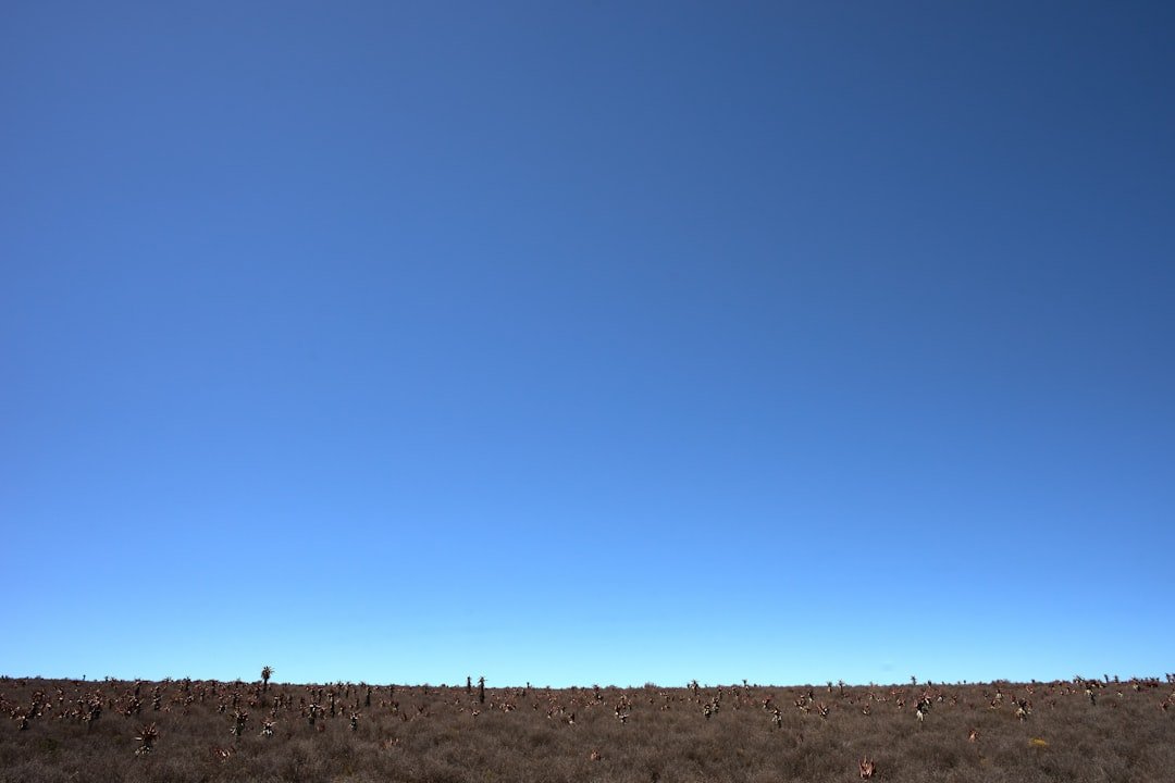 combien y'a t il de planètes dans le système solaire
